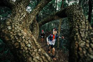 BIB: 
                            <button type="button" onclick="openModal(25393643)" class="btn btn-primary btn-sm float-right btn-popup" data-toggle="modal" data-target=".modal-high-quality">
                        <i class="fas fa-shopping-cart"></i> Add to Cart
                    </button>
                                            <button type="button" onclick="isThisMe(25393643, true)" class="btn btn-success btn-sm float-right btn-popup btn-isme hidden" data-toggle="tooltip" data-placement="bottom" title="นี่คือรูปของคุณใช่ไหม คลิกที่นี่เพื่อเอาเข้าอัลบั้ม">
                        <i class="fas fa-plus"></i> Add to album
                    </button>
                    <button type="button" onclick="isThisMe(25393643, false)" class="btn btn-warning btn-sm float-right btn-popup btn-isnotme hidden">
                        <i class="fas fa-ban"></i> Remove from album
                    </button>